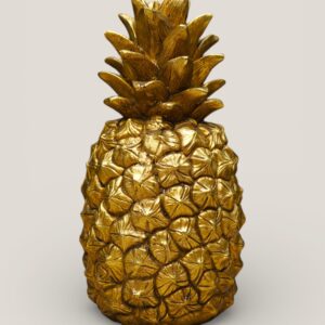Alternative view of LUXE ANANAS BEELD