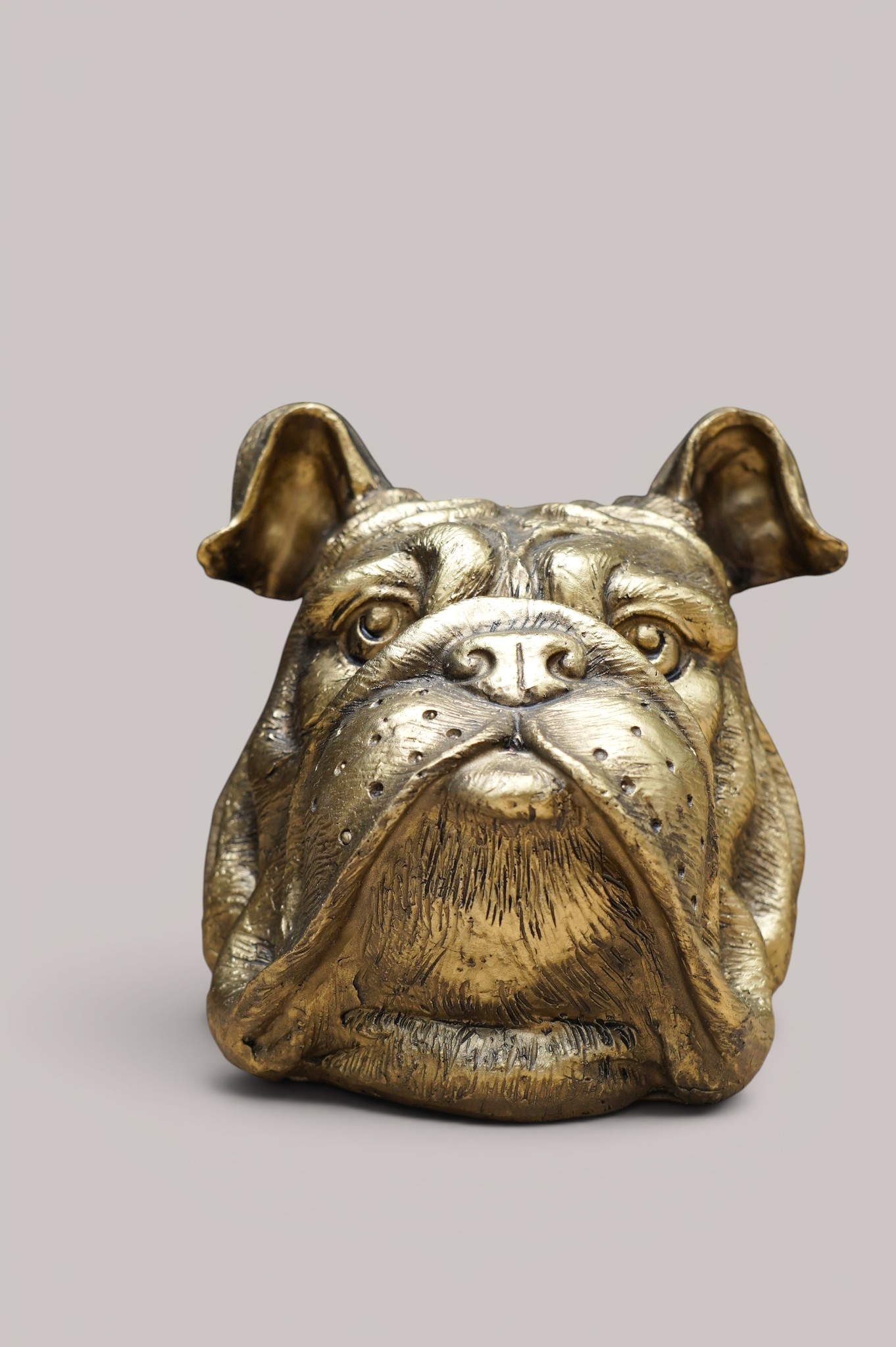 BULDOG BEELD - Afbeelding 2