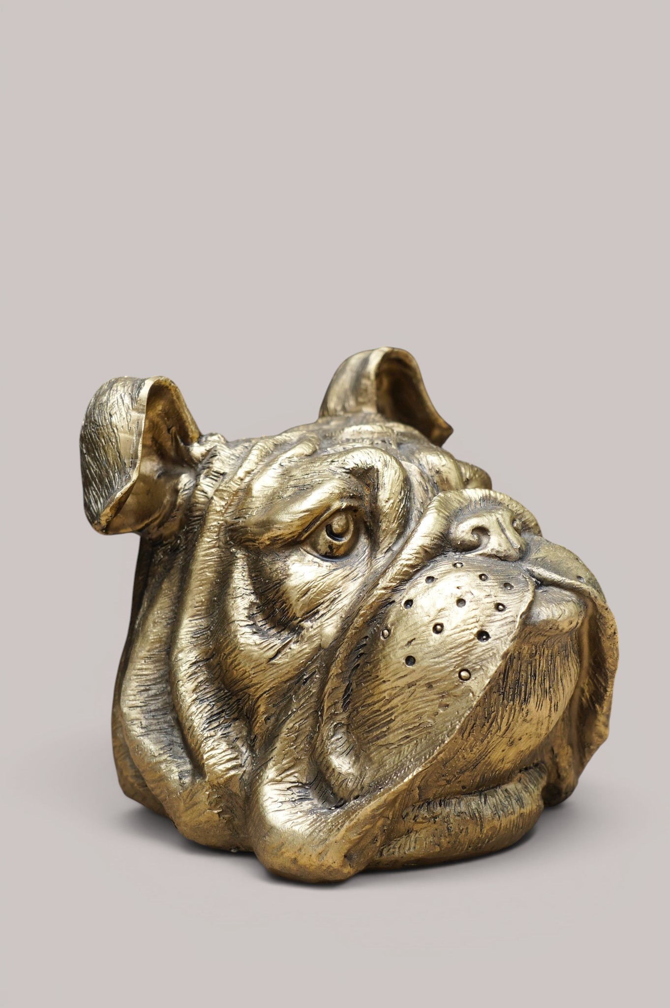 BULDOG BEELD - Afbeelding 3