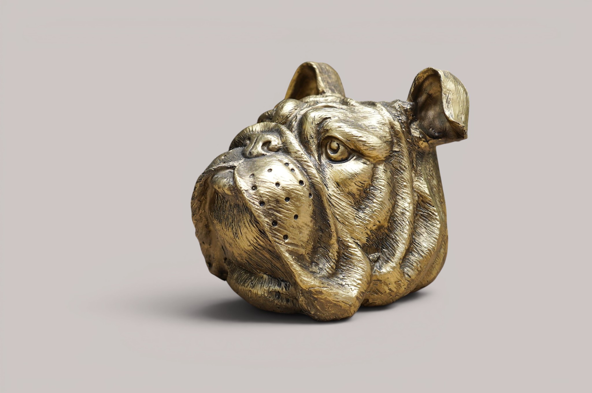 BULDOG BEELD - Afbeelding 5